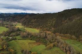 Senda del Valle de Arango